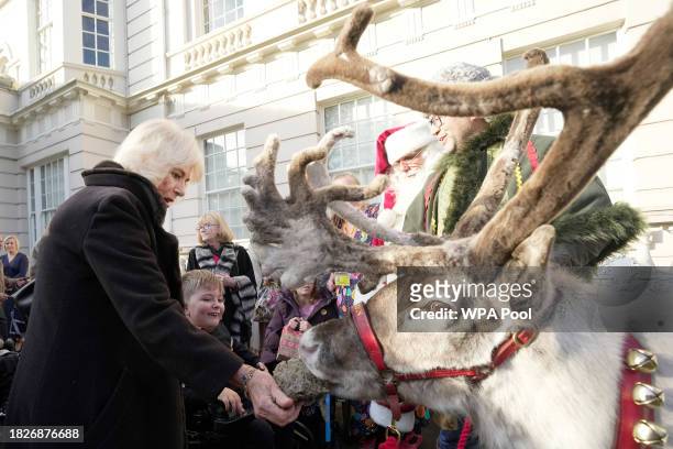 Britain's Queen Camilla feeds a reindeer after she invited children, supported by Helen & Douglas House and Roald Dahl's Marvellous Children's...