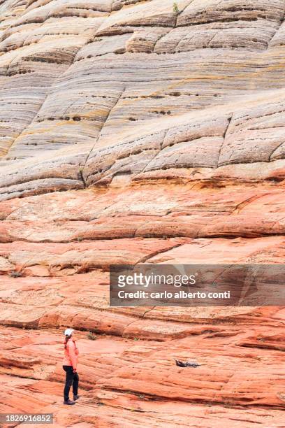 a girl admiring the beautiful rock formation in zion national park during a summer sunny day, utah, united states of america - river virgin stock pictures, royalty-free photos & images