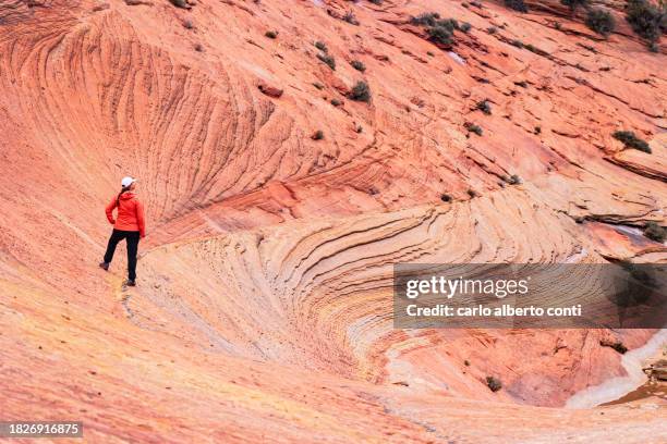 a girl admiring the beautiful rock formation in zion national park during a summer sunny day, utah, united states of america - river virgin stock pictures, royalty-free photos & images