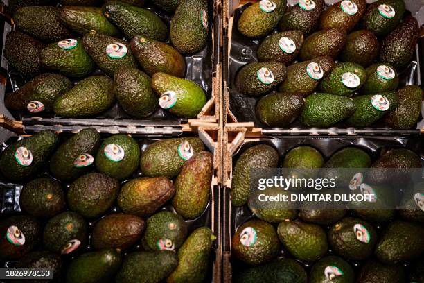 This photograph taken on December 6 shows avocados displayed on a greengrocer booth at the fruits and vegetables pavilion of the Rungis International...