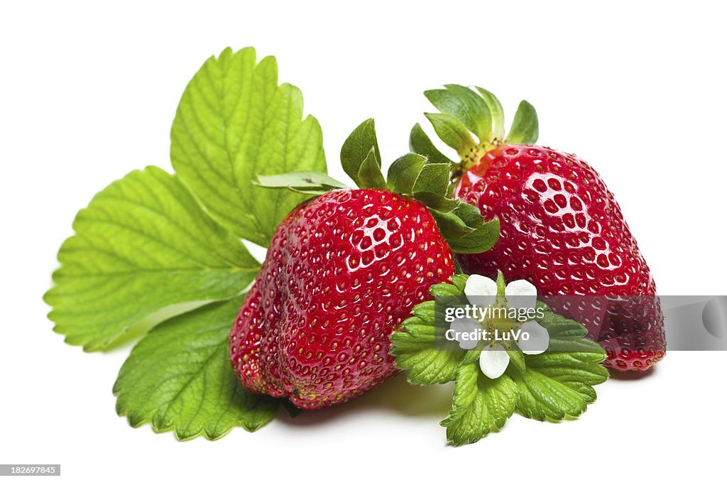 Strawberries with leaves and flowers on white