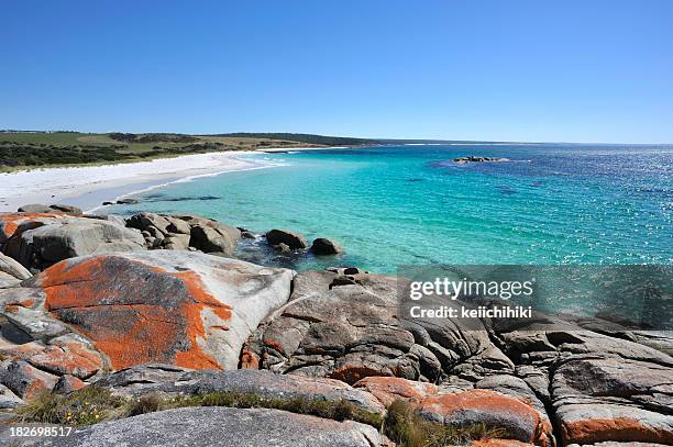a stunning landscape of bay of fires - tasmania stock pictures, royalty-free photos & images