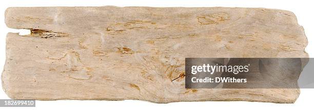 legname trasportato dalla corrente - driftwood foto e immagini stock