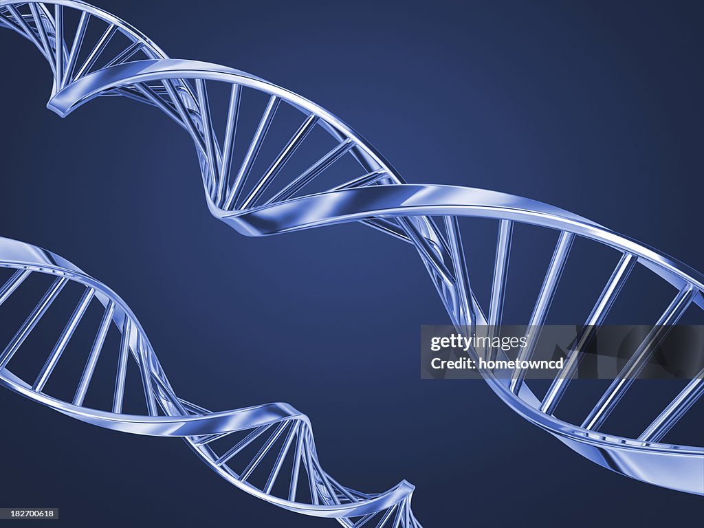 3D DNA Stands