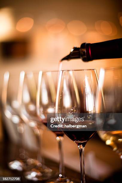 degustação de vinho - prova de vinho imagens e fotografias de stock