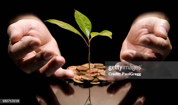 young tree growing out of coins protected by hands. - south african currency stock pictures, royalty-free photos & images