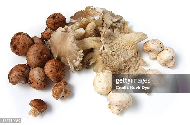 organic mushroom selection - crimini mushroom stock pictures, royalty-free photos & images