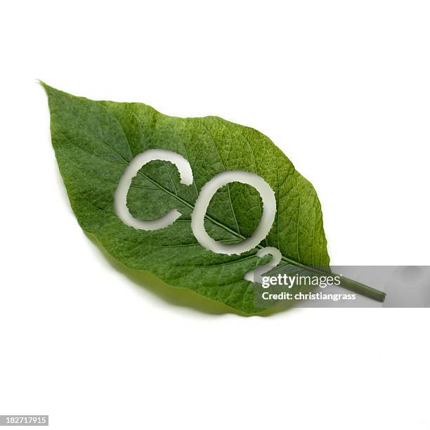 a green leaf with co2 written on it - photosynthesis 個照片及圖片檔