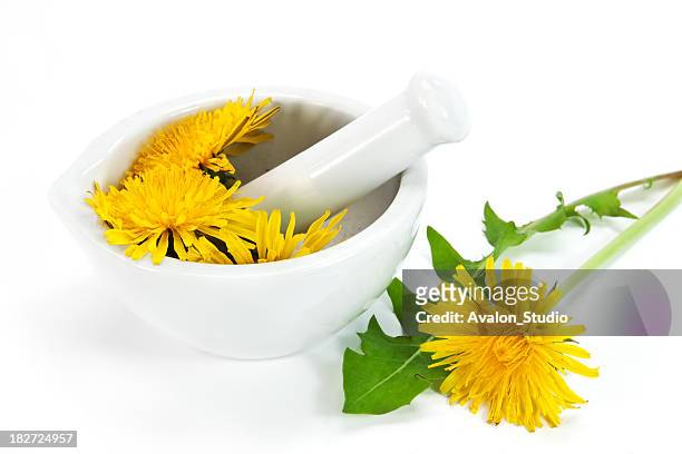dandelion - dandelion isolated stock pictures, royalty-free photos & images