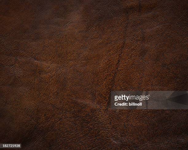 trama in pelle marrone scuro - materiale di pelle animale foto e immagini stock