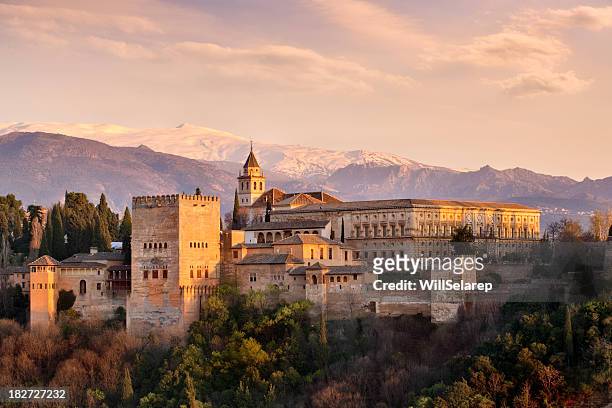the alhambra - spain stockfoto's en -beelden