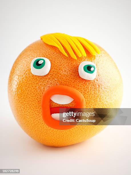 grapefruit portrait - vitamin c stock illustrations