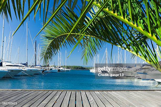 a view of the yachts dock in the pier during summer - anchored boats stock pictures, royalty-free photos & images