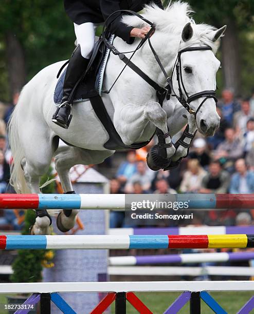 above the jump - equestrian show jumping stock pictures, royalty-free photos & images