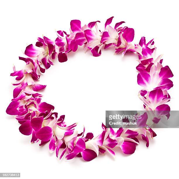 magenta and white lei flower garland isolated on white - hawaiian lei stockfoto's en -beelden