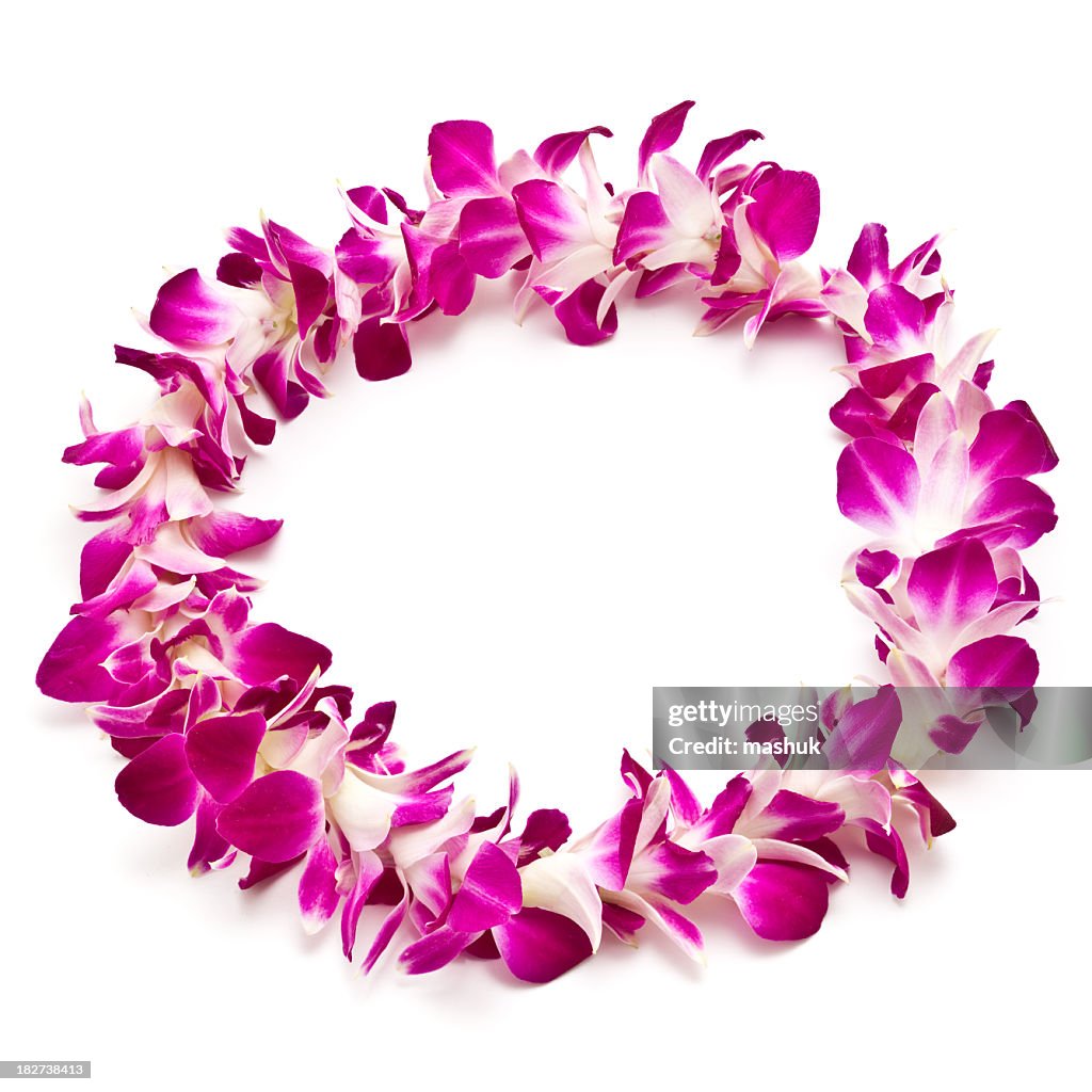 Magenta and white lei flower garland isolated on white