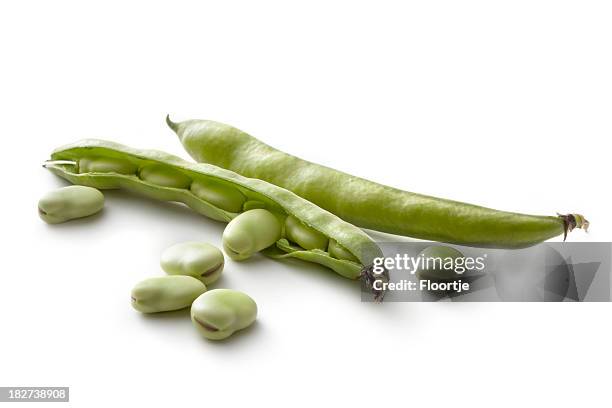 vegetables: broad beans isolated on white background - seed head stock pictures, royalty-free photos & images