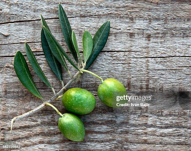 olives - olive leaf stock pictures, royalty-free photos & images