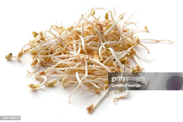 vegetables: mung bean sprouts isolated on white background - taugé stockfoto's en -beelden