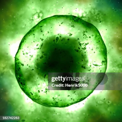 Cell under microscope Cell under microscope
