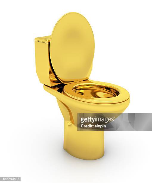 golden toilet bowl - closet stockfoto's en -beelden