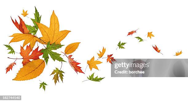 Rotating Fall Images Autumn Spinning High-Res Stock Photo - Getty Images