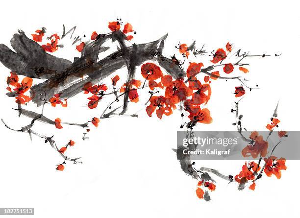 plum blossom - japanese tree drawing stock illustrations