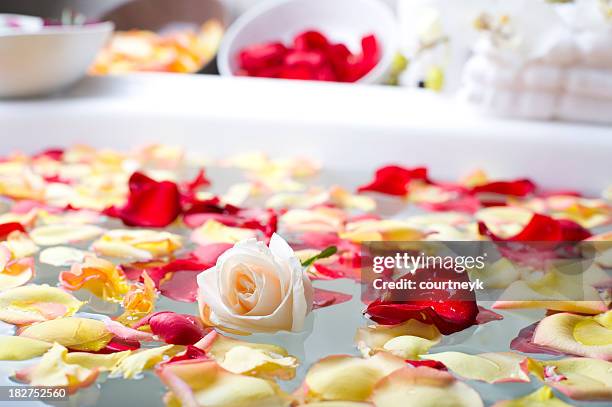 rose with flower petals in a spa - rose petal stock pictures, royalty-free photos & images