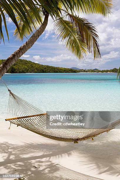 cama pendurado no palmeiras, oliveiras em uma praia das caraíbas - hammock imagens e fotografias de stock