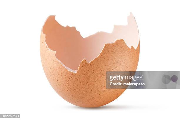 eggshell - animal egg stock pictures, royalty-free photos & images