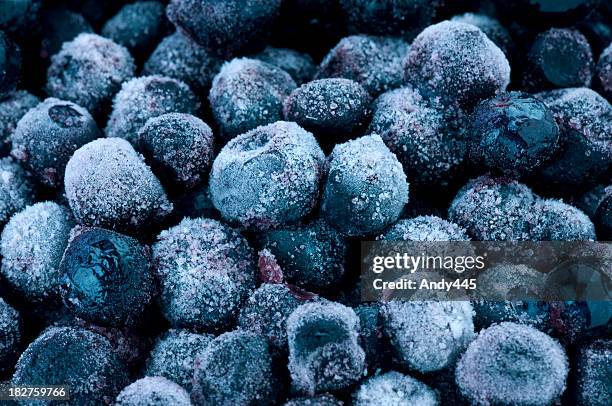 frozen blueberries - blåbär bildbanksfoton och bilder