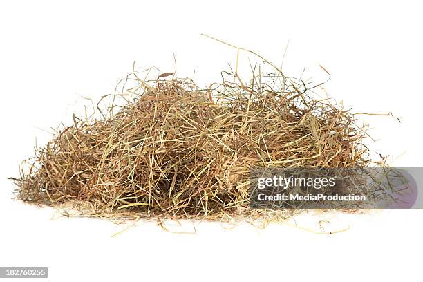 meadow there - hay stock pictures, royalty-free photos & images