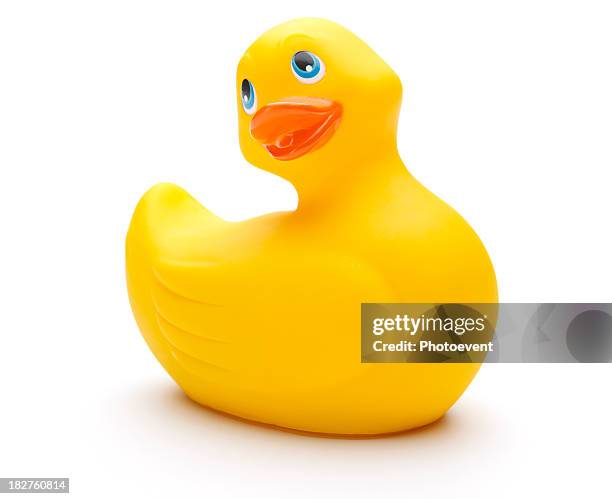 cute looking yellow rubber duck - badeend stockfoto's en -beelden