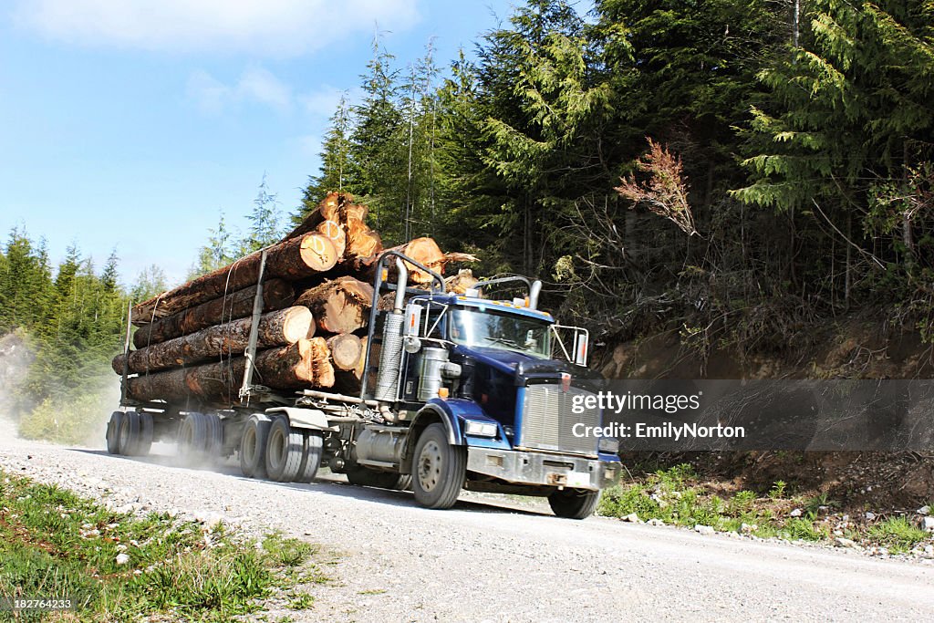 Truck filled with logs going through a dirt road