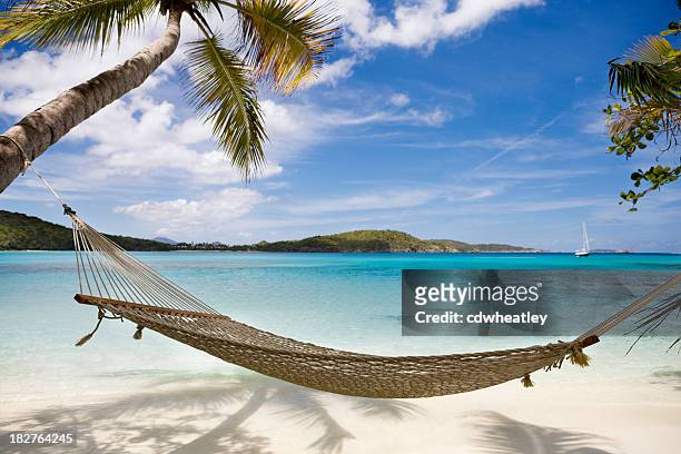 cama de rede entre palmeiras, oliveiras na praia do caribe inalterados - hammock imagens e fotografias de stock