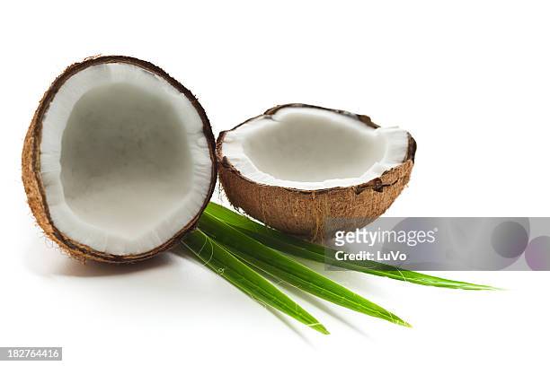 kokosnuss - coconut isolated stock-fotos und bilder