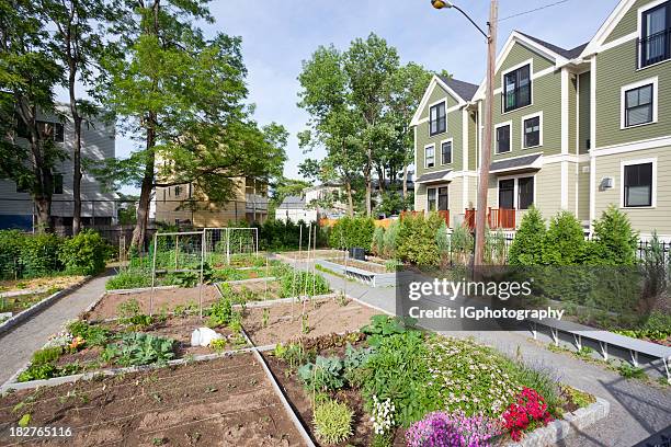 jardin communautaire avec des fleurs et des légumes - se diviser photos et images de collection