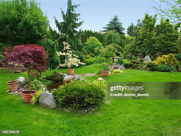 wunderschön gepflegten garten mit büschen und bäumen, steine, teich, saftige gras - beautiful tree stock-fotos und bilder