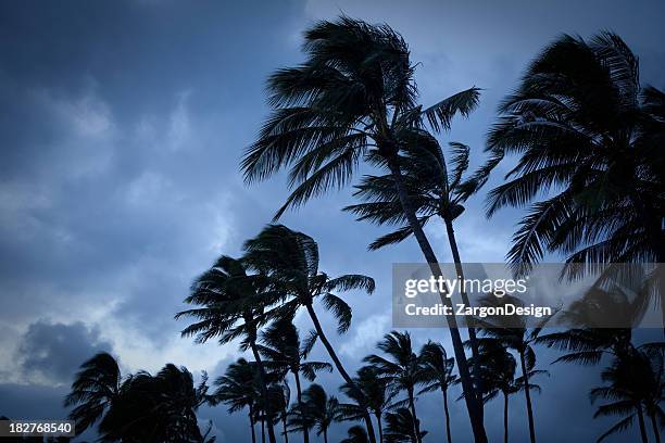 tormenta tropical - storm fotografías e imágenes de stock