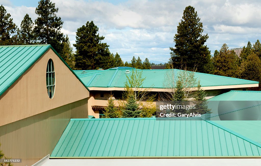 A green steel roof amongst trees