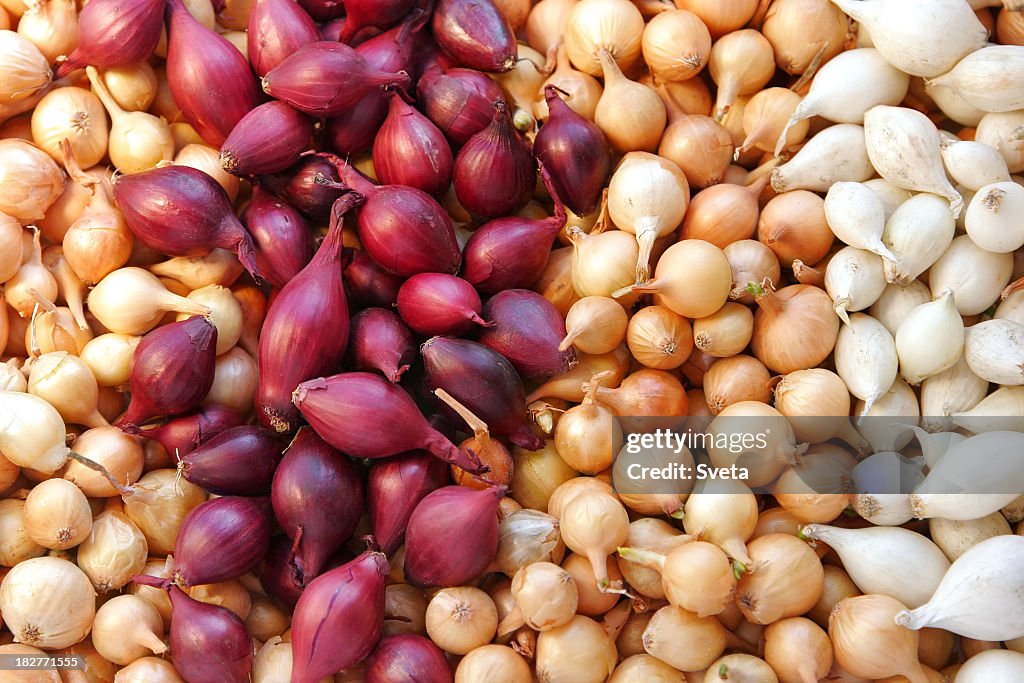 Many multicolored groups of onions divided up by color