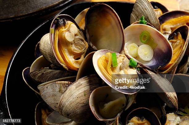 frisch zubereitete muschel - clams cooked stock-fotos und bilder
