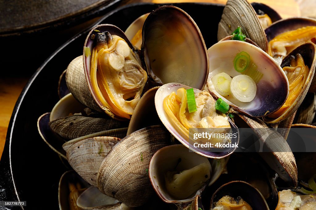 Cooked Clam