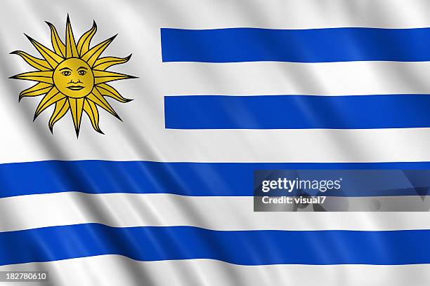 bandera de uruguay - uruguay fotografías e imágenes de stock