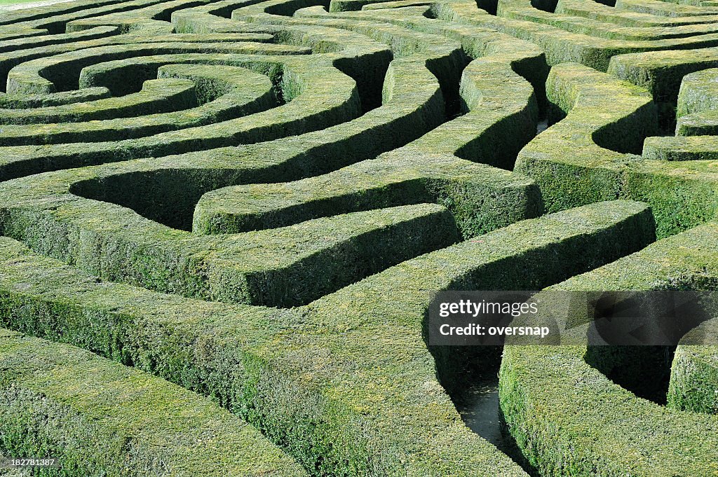 Hecke maze ",Seto maze"