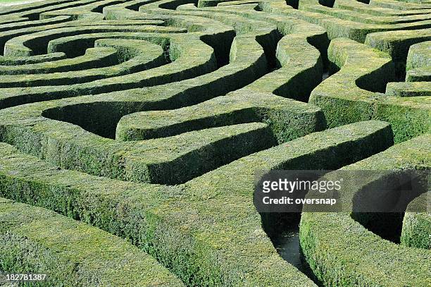hecke maze ",seto maze" - topiary stock-fotos und bilder