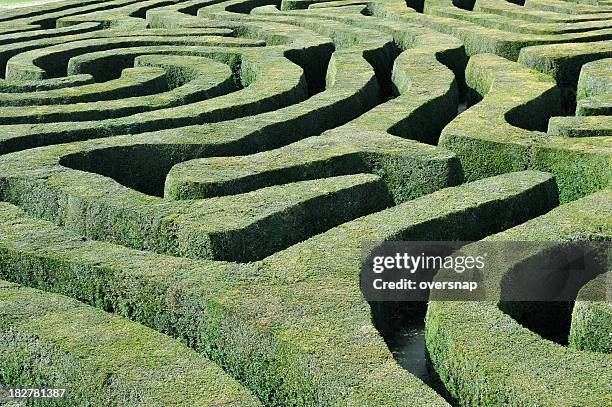 hedge maze - labyrinth stock pictures, royalty-free photos & images