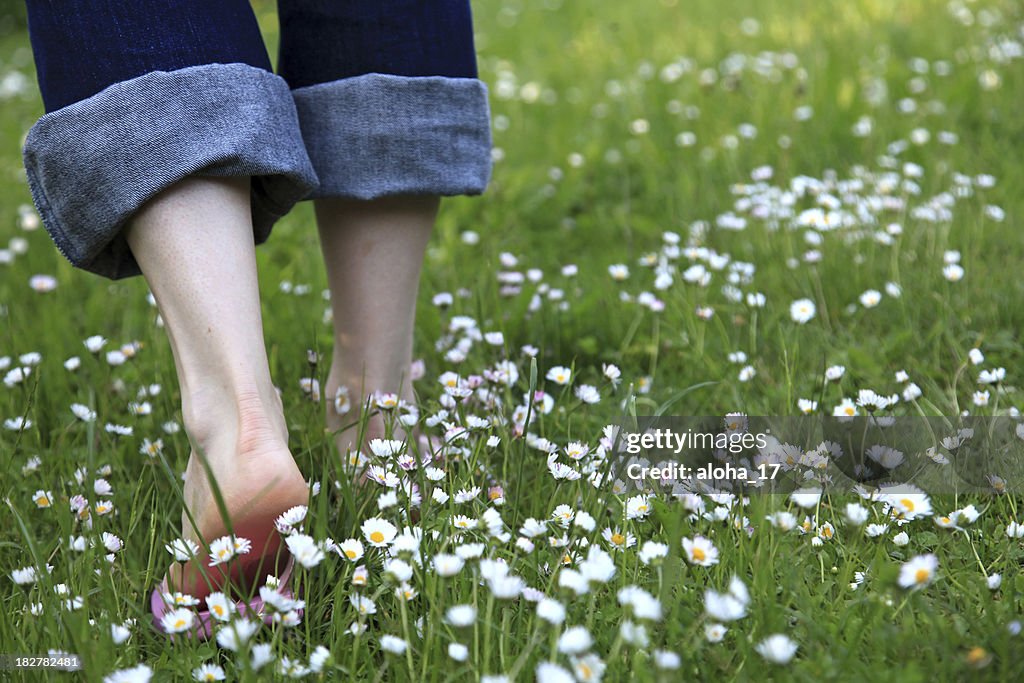 Walking through a daisy meadow