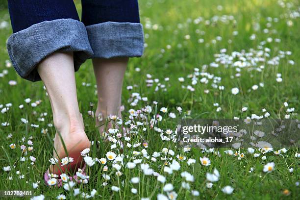 caminhar através de um prado daisy - descalço imagens e fotografias de stock