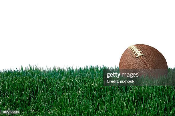football - american football field low angle stock pictures, royalty-free photos & images